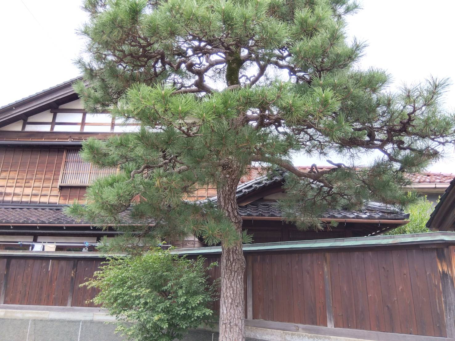 金沢のお香とアロマの香り専門店(石川県金沢市)・金沢観光地・金沢の観光スポット武家屋敷跡近く・人気でおすすめのお土産処-お香専門店のアロマ香房焚屋