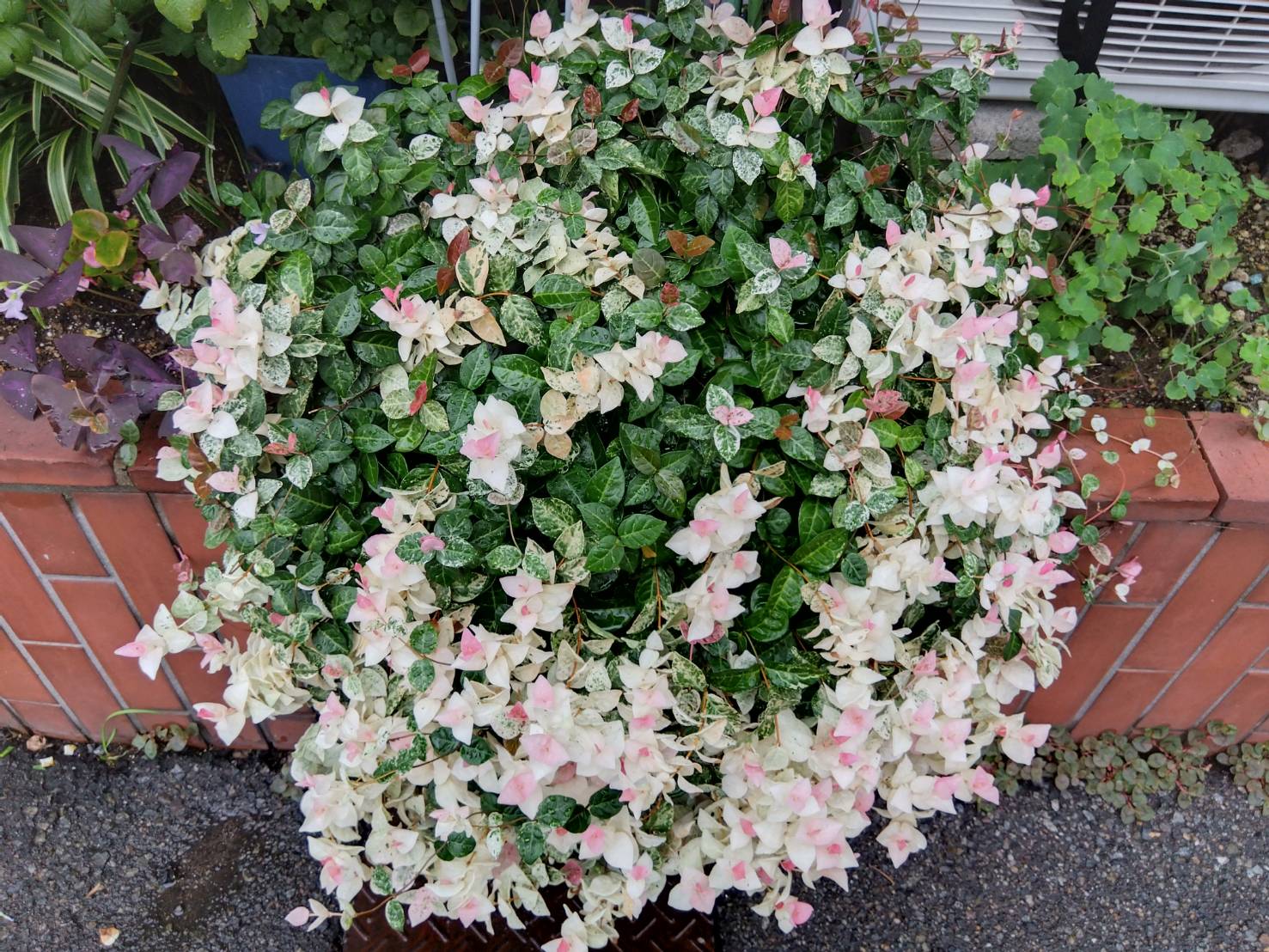 金沢のお香とアロマの香り専門店(石川県金沢市)・金沢観光地・金沢の観光スポット武家屋敷跡近く・人気でおすすめのお土産処-お香専門店のアロマ香房焚屋