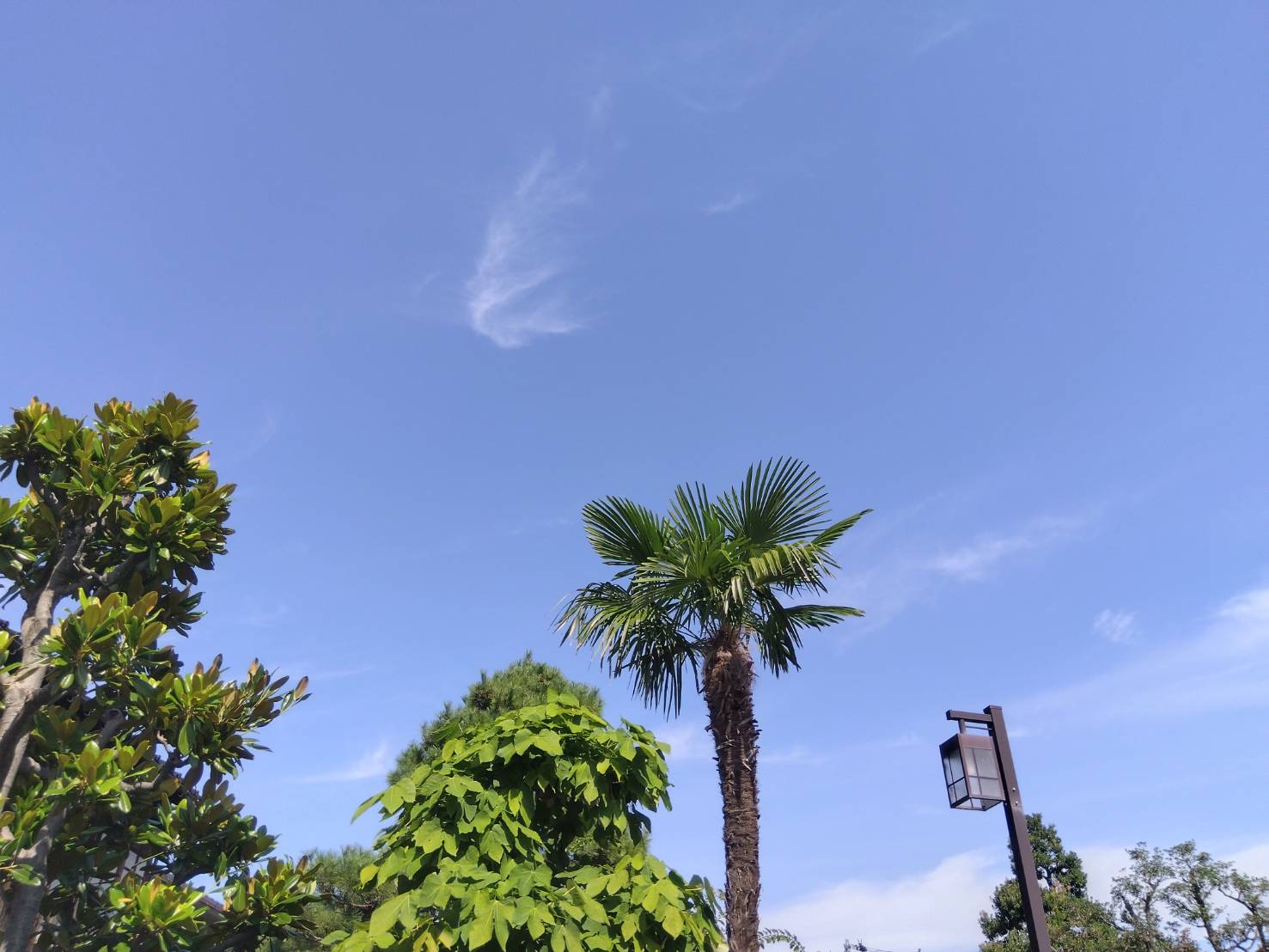 金沢のお香とアロマの香り専門店(石川県金沢市)・金沢観光地・金沢の観光スポット武家屋敷跡近く・人気でおすすめのお土産処-お香専門店のアロマ香房焚屋