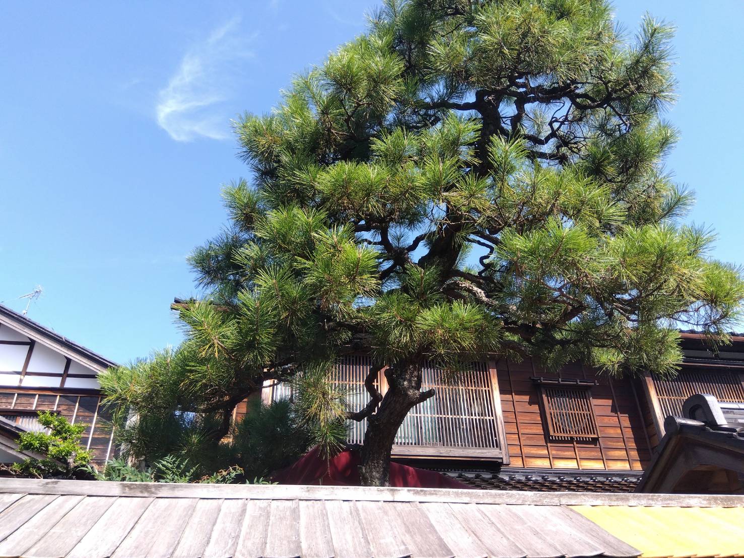 金沢のお香とアロマの香り専門店(石川県金沢市)・金沢観光地・金沢の観光スポット武家屋敷跡近く・人気でおすすめのお土産処-お香専門店のアロマ香房焚屋