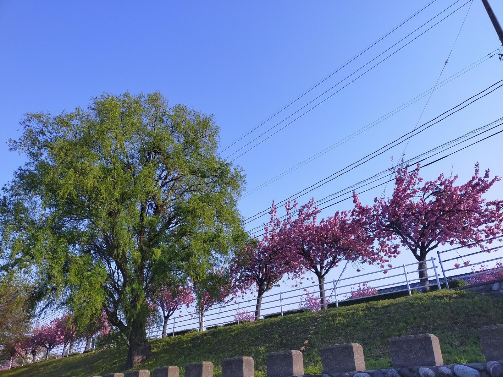 ★店主焚屋の作業奮闘記-2025年04月21日