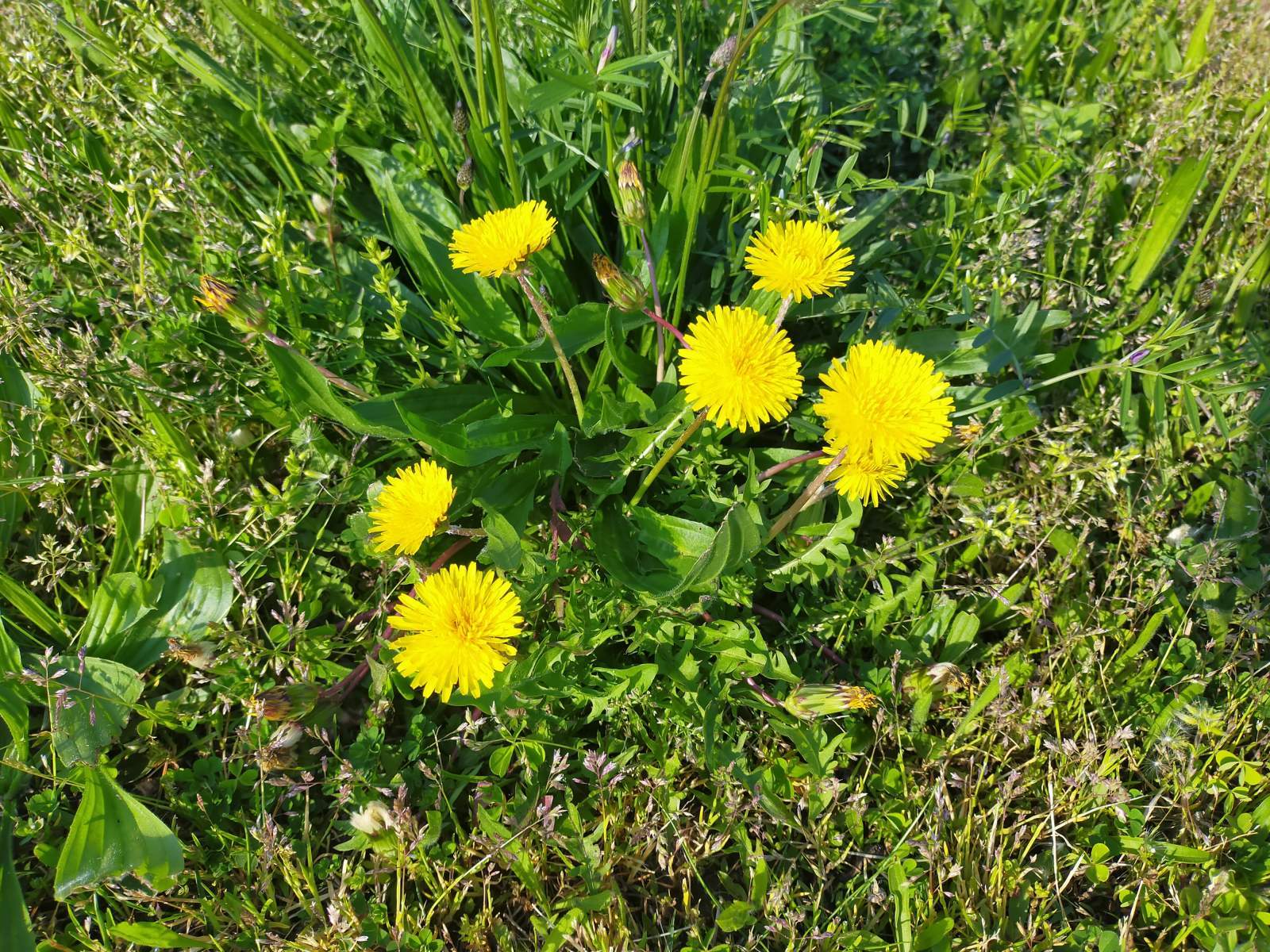 ★2025年5月1日-店主焚屋の作業奮闘記（4/28-5/4間）