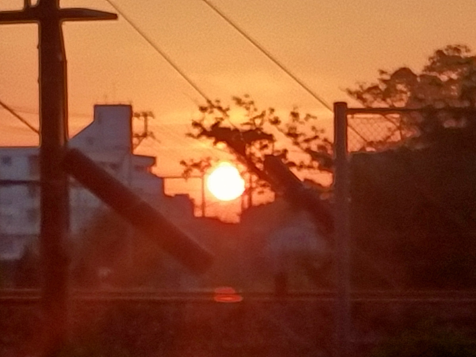 ★2025年6月12日-(6/9-6/16間) ,メルマガ作成