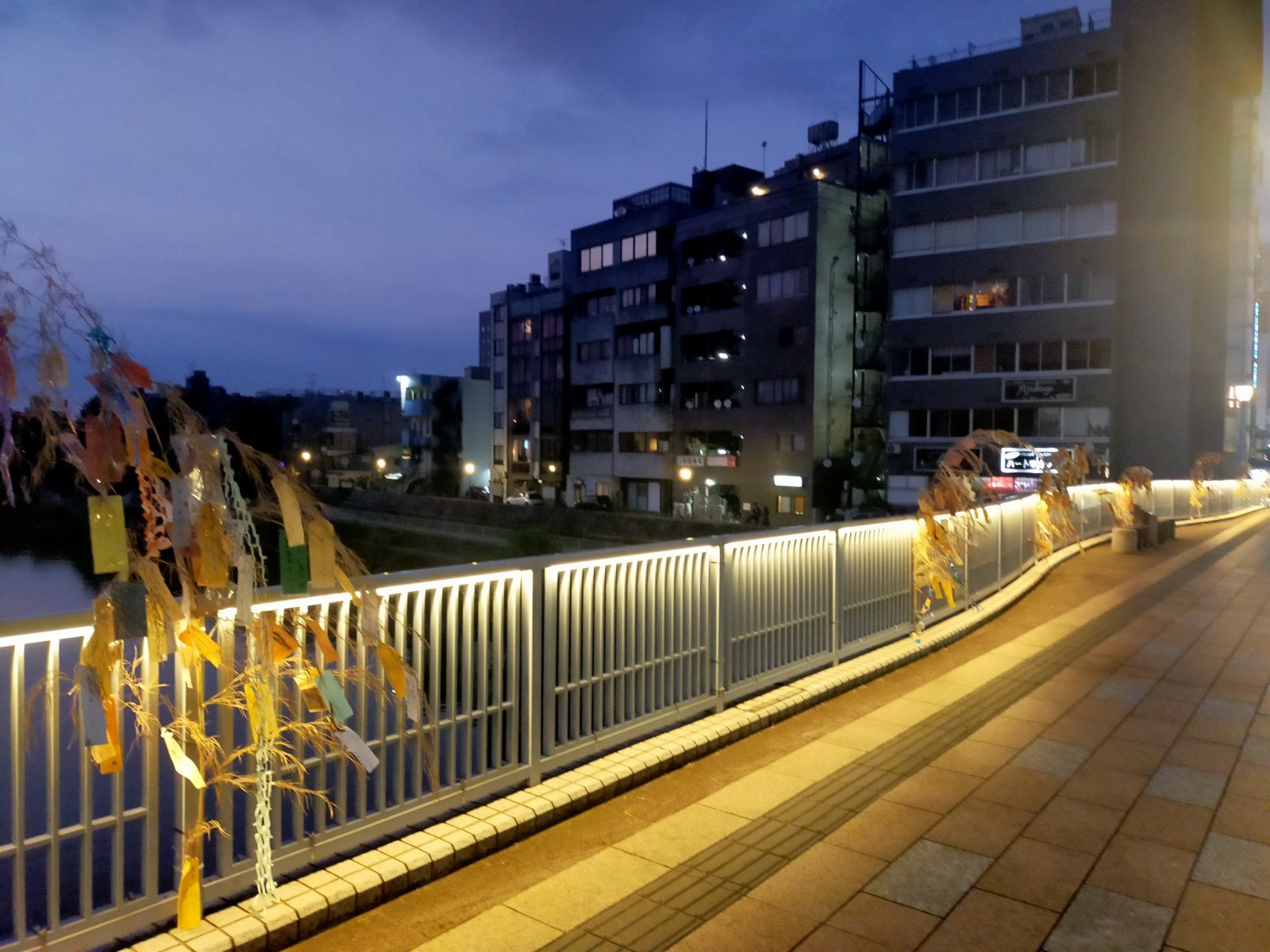 ★2025年7月8日-(7/7-7/13間) ,今日は命の洗濯です。