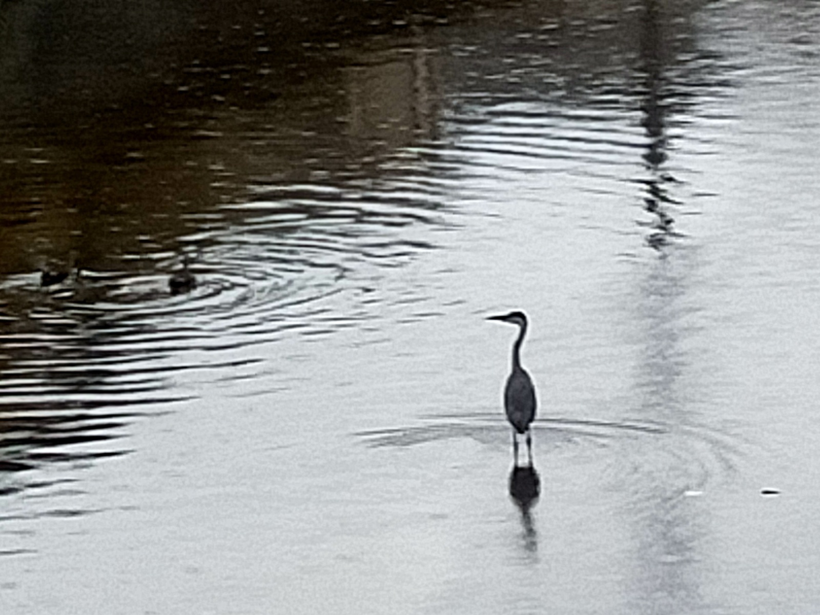 お香・専門店　金沢市｜金沢の観光地-武家屋敷跡近くのアロマ香房焚屋