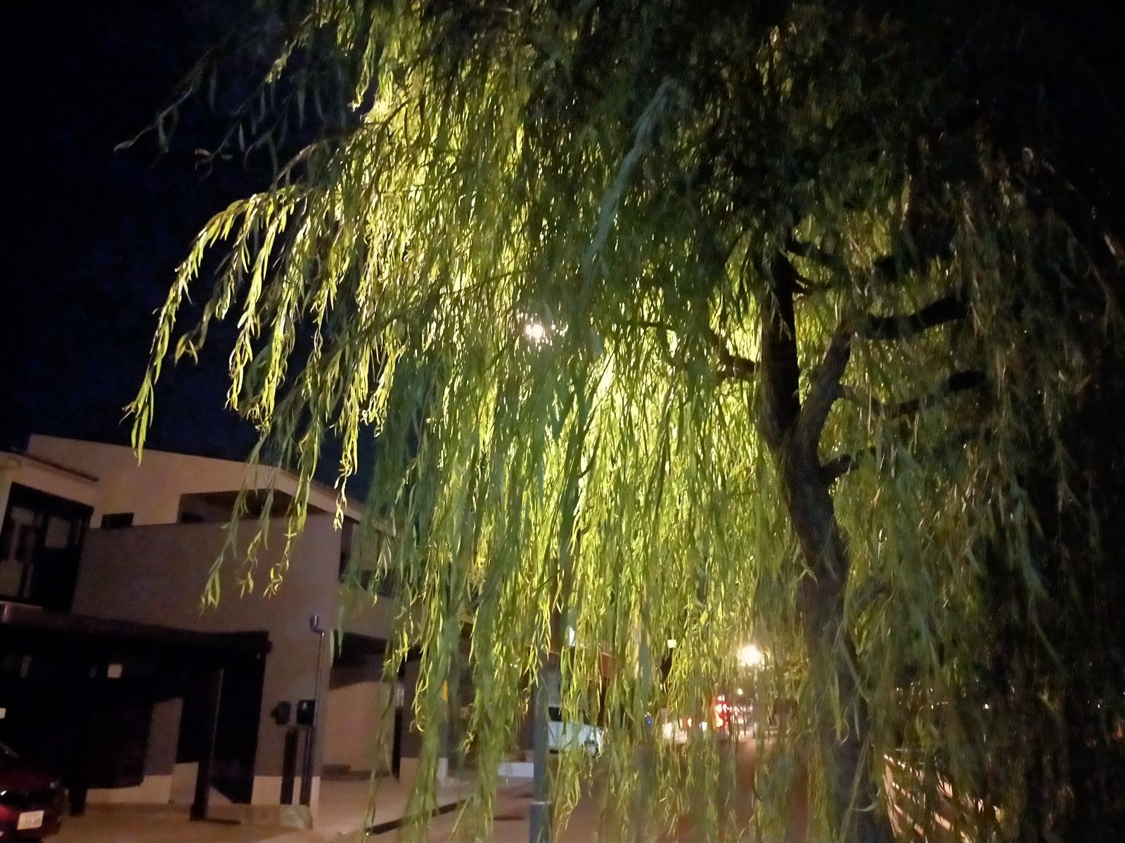 金沢のお香とアロマの香り専門店(石川県金沢市)・金沢観光地・金沢の観光スポット武家屋敷跡近く・お土産処-お香専門店のアロマ香房焚屋