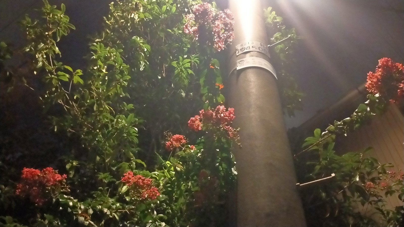 金沢のお香とアロマの香り専門店(石川県金沢市)・金沢観光地・金沢の観光スポット武家屋敷跡近く・人気でおすすめのお土産処-お香専門店のアロマ香房焚屋