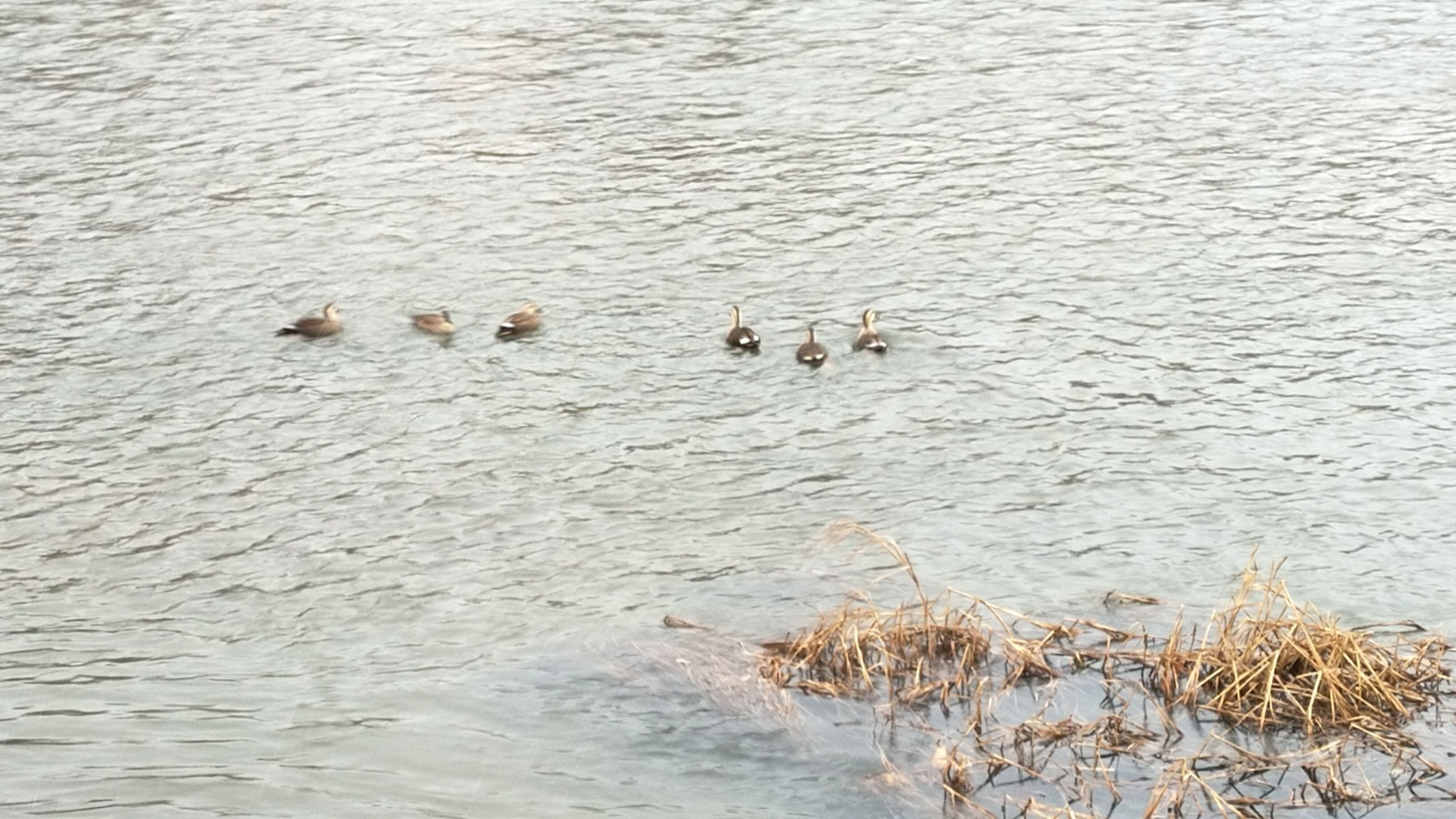 金沢のお香とアロマの香り専門店(石川県金沢市)・金沢観光地・金沢の観光スポット武家屋敷跡近く・人気でおすすめのお土産処-お香専門店のアロマ香房焚屋