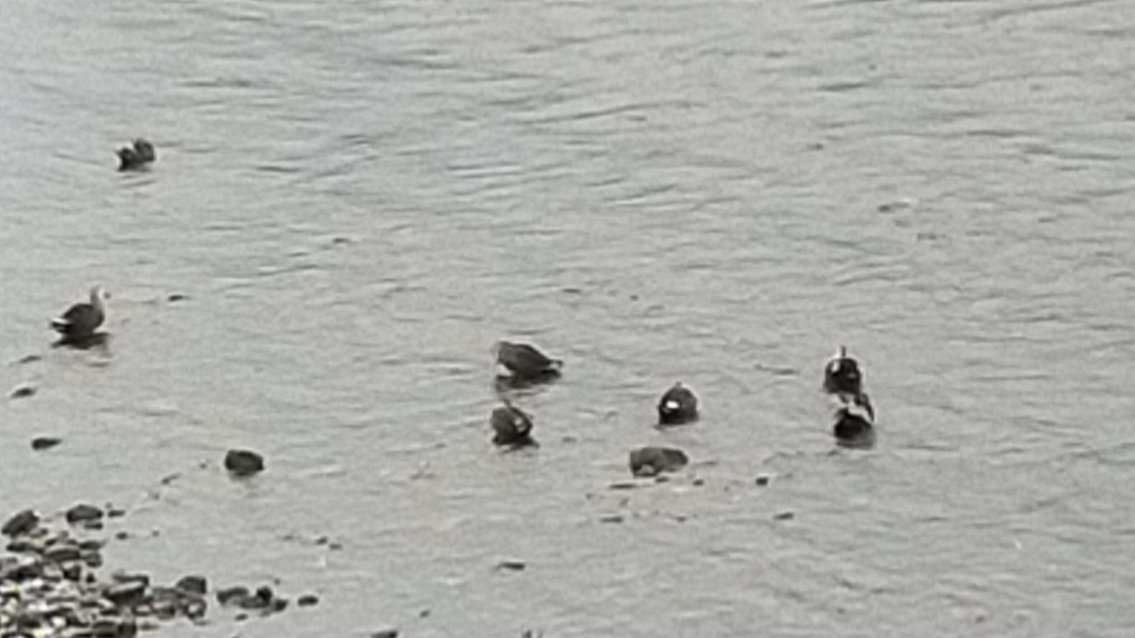 金沢のお香とアロマの香り専門店(石川県金沢市)・金沢観光地・金沢の観光スポット武家屋敷跡近く・人気でおすすめのお土産処-お香専門店のアロマ香房焚屋