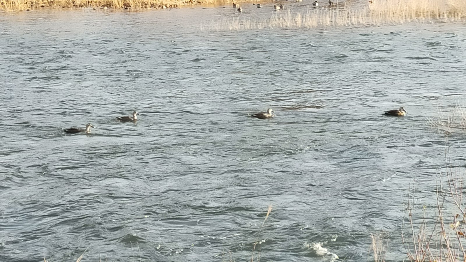金沢のお香とアロマの香り専門店(石川県金沢市)・金沢観光地・金沢の観光スポット武家屋敷跡近く・人気でおすすめのお土産処-お香専門店のアロマ香房焚屋