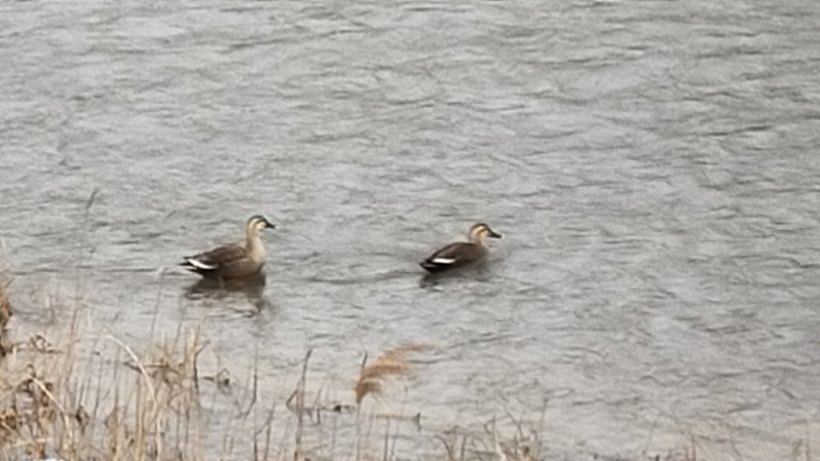 金沢のお香とアロマの香り専門店(石川県金沢市)・金沢観光地・金沢の観光スポット武家屋敷跡近く・人気でおすすめのお土産処-お香専門店のアロマ香房焚屋