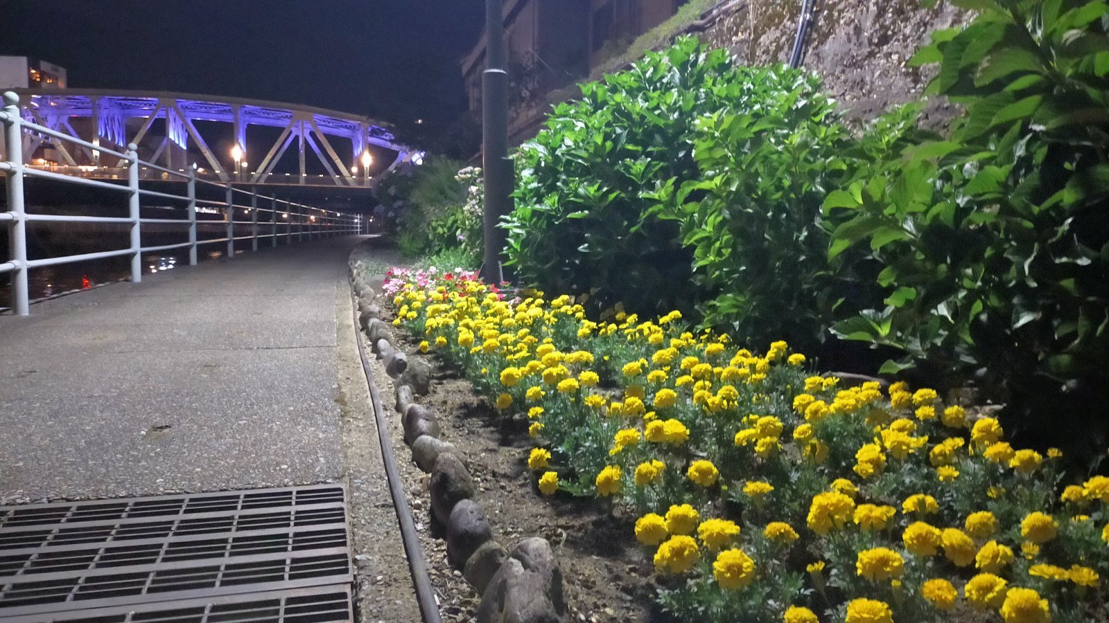 店主 焚屋 金沢のお香とアロマの香り専門店(石川県金沢市)・金沢観光地・金沢の観光スポット武家屋敷跡近く・人気でおすすめのお土産処-お香専門店のアロマ香房焚屋