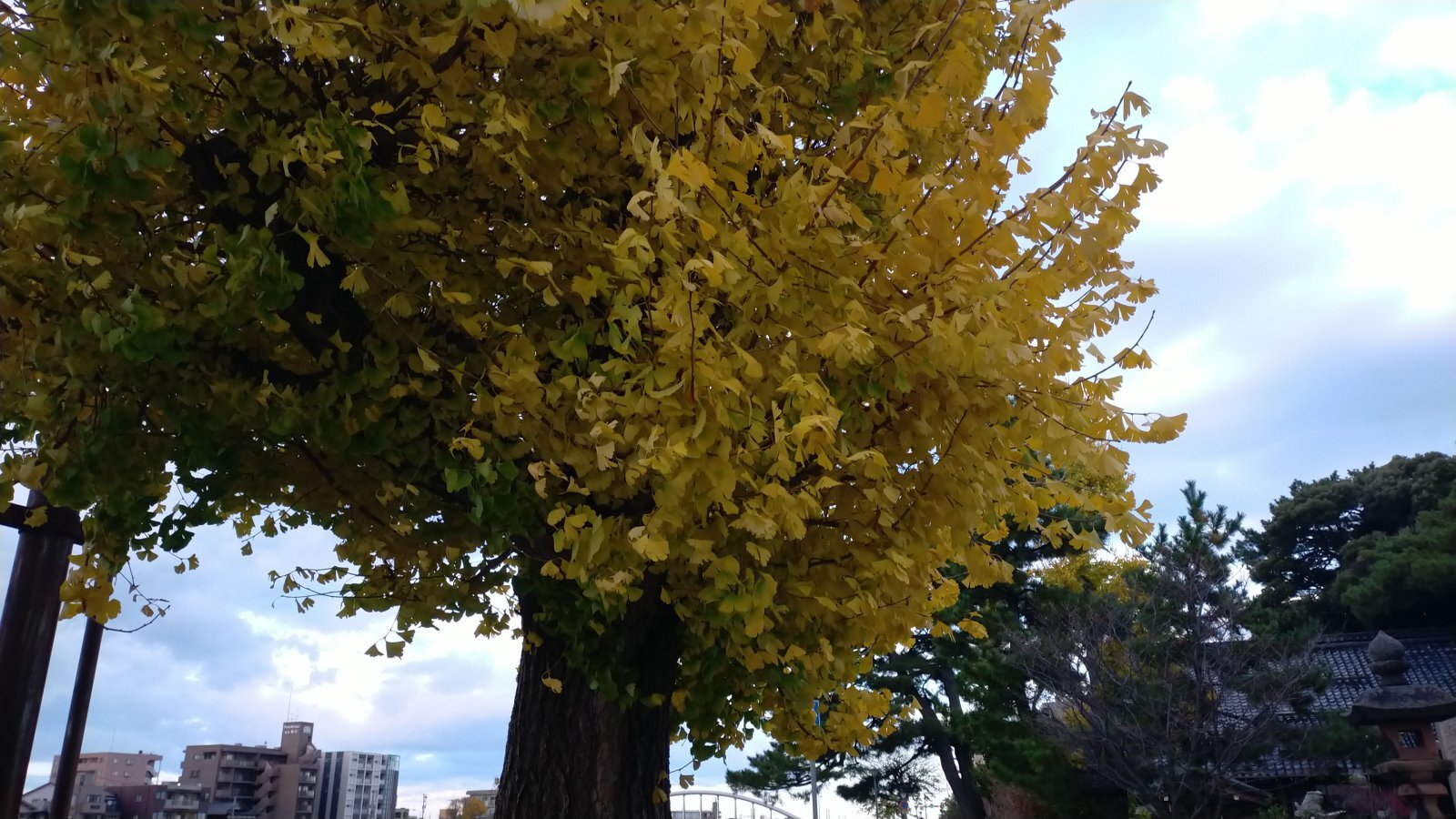 金沢のお香とアロマの香り専門店(石川県金沢市)・金沢観光地・金沢の観光スポット武家屋敷跡近く・人気でおすすめのお土産処-お香専門店のアロマ香房焚屋