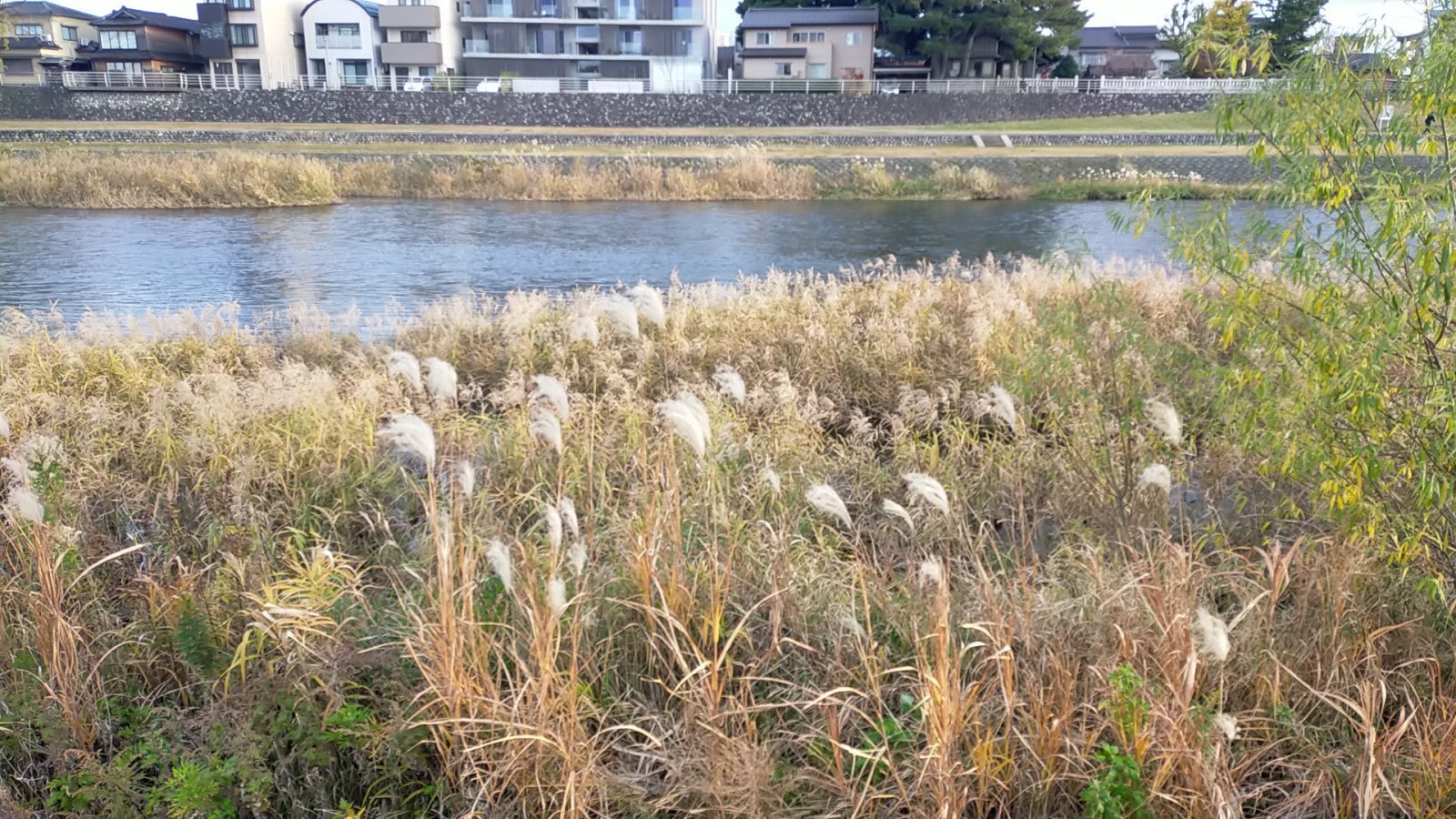 金沢のお香とアロマの香り専門店(石川県金沢市)・金沢観光地・金沢の観光スポット武家屋敷跡近く・人気でおすすめのお土産処-お香専門店のアロマ香房焚屋