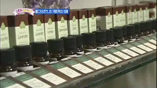 石川テレビ　リフレッシュ