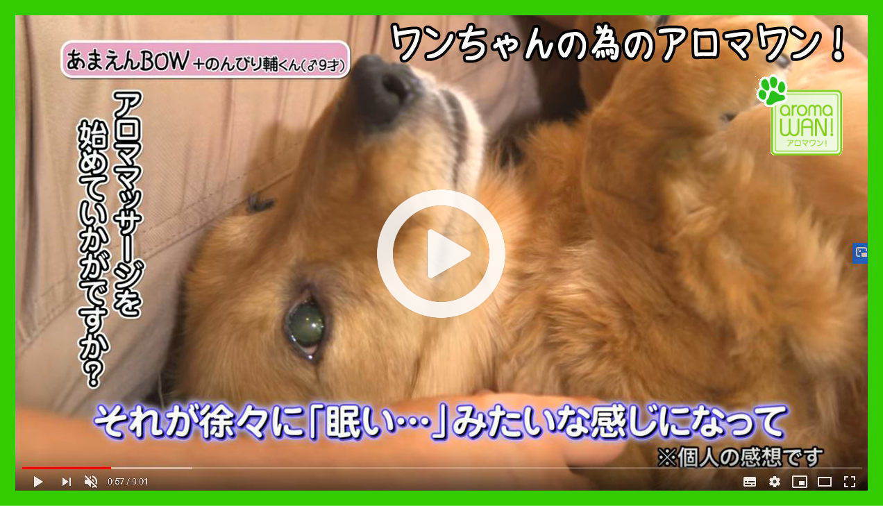 アロマワン　犬用アロマ