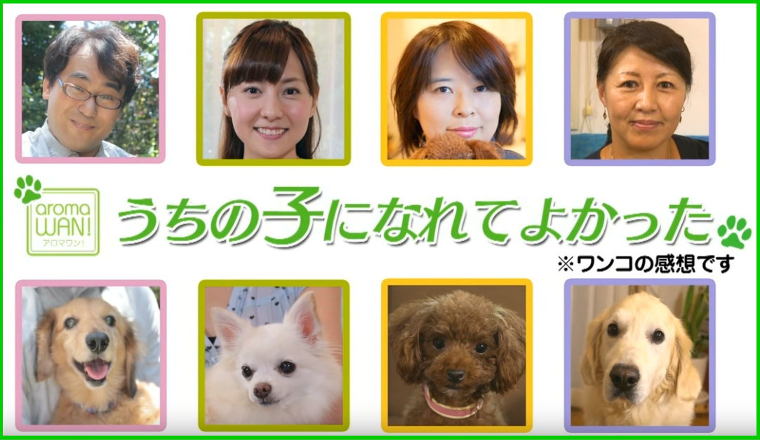 アロマワン　ペット　犬用アロマ