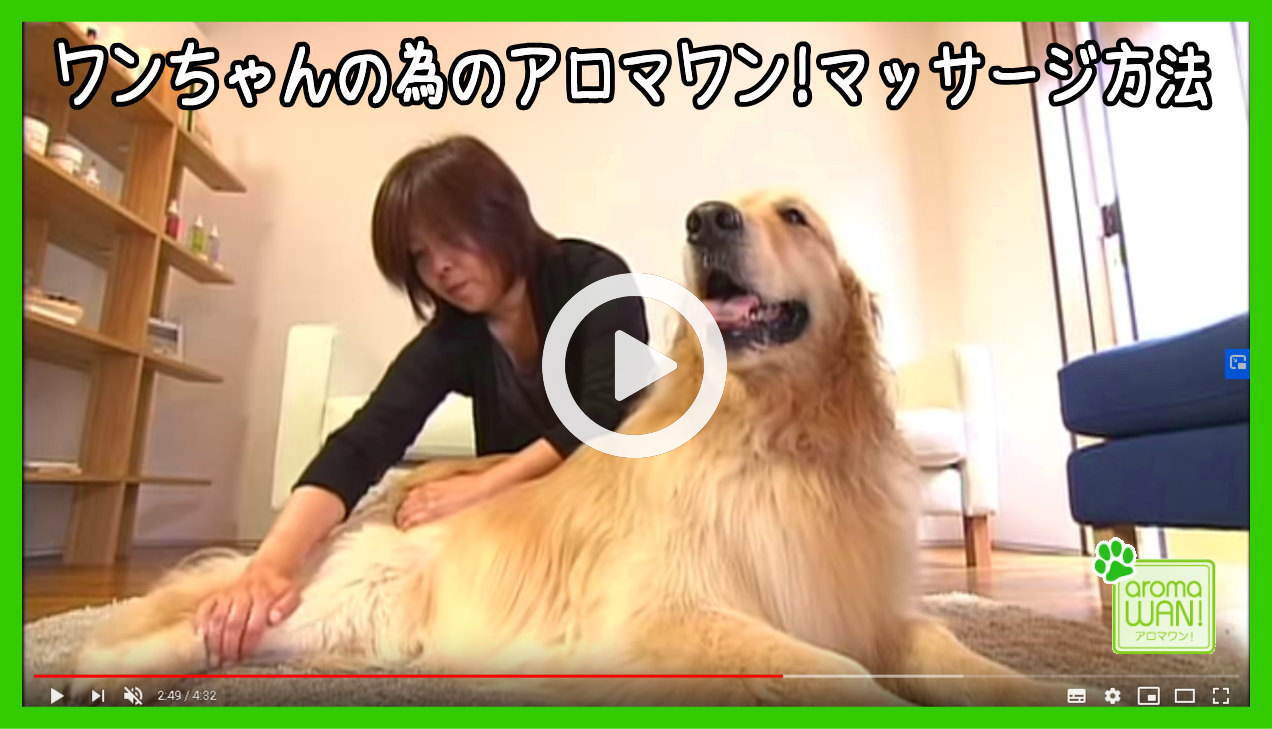 マッサージ方法　アロマワン　犬用