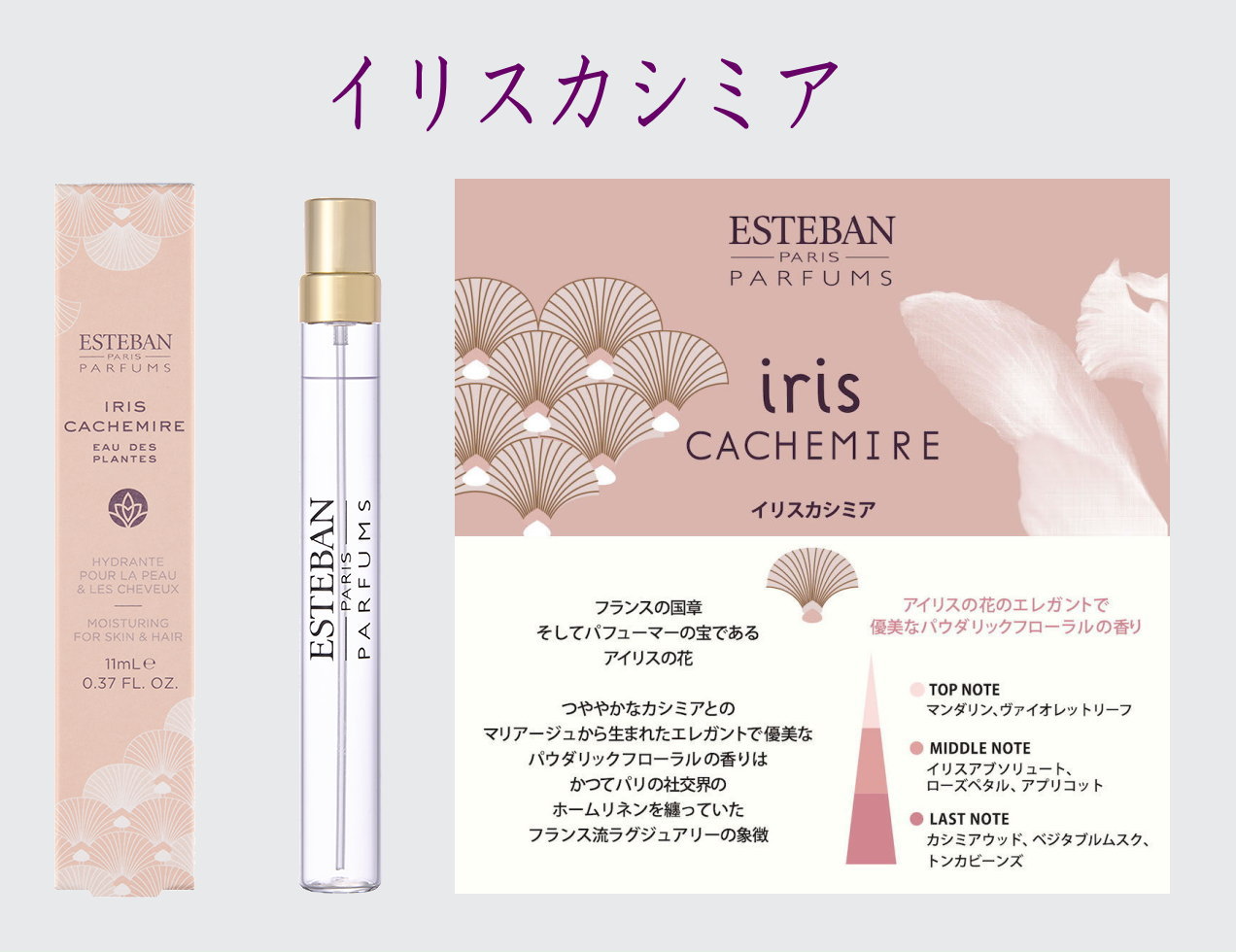 ESTEBAN-オーデプランツ-香水-perfume　イリスカシミア
