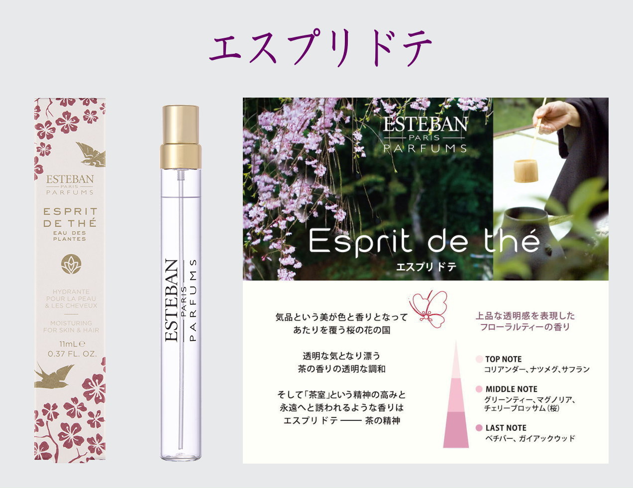ESTEBAN-オーデプランツ-香水-perfume　エスプリドテ